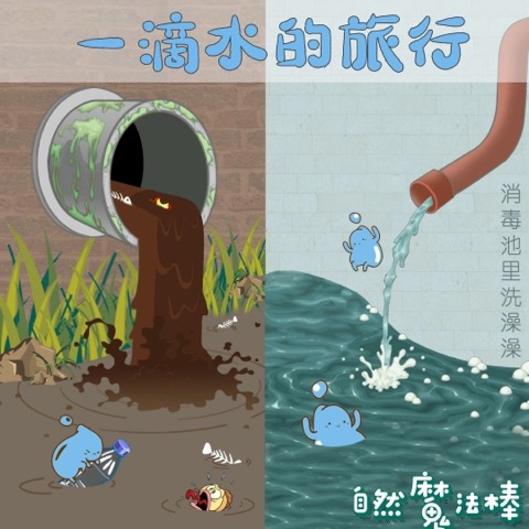 一滴水的旅行(下)