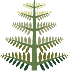 含羞草标志